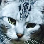 ミントさんのプロフィール画像