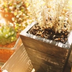 kikiさんのプロフィール画像