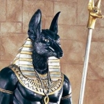 アヌビスさんのプロフィール画像