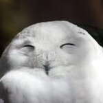 レちゃんさんのプロフィール画像