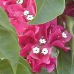 minaduki-3さんのプロフィール画像