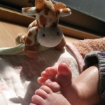 はっぴさんのプロフィール画像