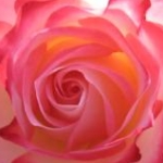 ✩いちご✩さんのプロフィール画像