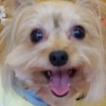 みゆさんのプロフィール画像