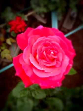 ふじふじさんのプロフィール画像