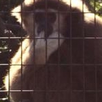 おみたんさんのプロフィール画像