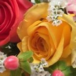 mama3さんのプロフィール画像