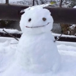 もきゅんさんのプロフィール画像