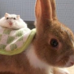 たくみさんのプロフィール画像