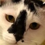 ushiwakaさんのプロフィール画像