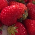 リリーさんのプロフィール画像