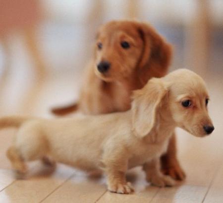 よしこさんのプロフィール画像