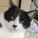 馬なり進化論さんのプロフィール画像