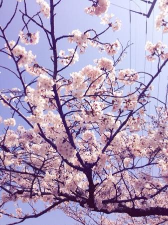 ほなみんさんのプロフィール画像