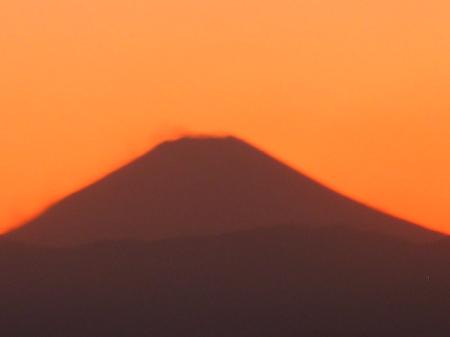 fujichansanさんのプロフィール画像