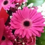 ゆののさんのプロフィール画像