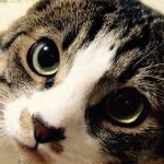 milkiyさんのプロフィール画像