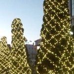 Shihoさんのプロフィール画像