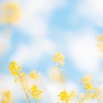 RUKA さんのプロフィール画像