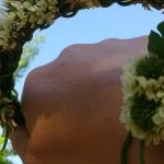 まこっつさんのプロフィール画像