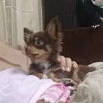 みやさんのプロフィール画像