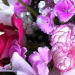 pico087さんのプロフィール画像