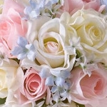 minnieさんのプロフィール画像