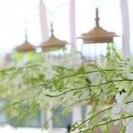 ももさんのプロフィール画像