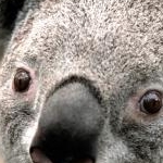 がーちゃんさんさんのプロフィール画像