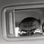 大槍太郎さんのプロフィール画像