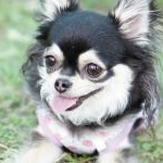 shutaroさんのプロフィール画像