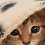 ルナさんのプロフィール画像