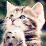 みゃーにゃんさんのプロフィール画像