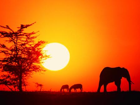 ゆかさんのプロフィール画像