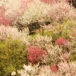 cocona23さんのプロフィール画像