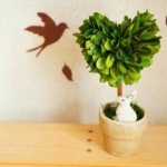 心温さんのプロフィール画像