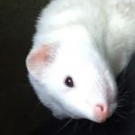 かなたさんのプロフィール画像