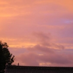 真実のダーリン