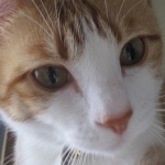 KASSAさんのプロフィール画像