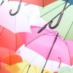 ぐっちょんさんのプロフィール画像