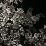 なっちゃんさんのプロフィール画像