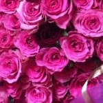 ゆかりごはんさんのプロフィール画像