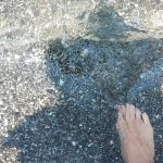 nicoさんのプロフィール画像