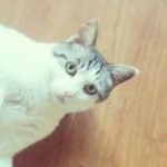 ナフサさんのプロフィール画像