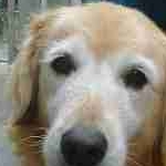 はなさんのプロフィール画像