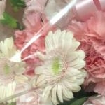 槇29さんのプロフィール画像