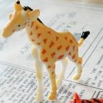 aiai さんのプロフィール画像