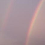 ウメコさんのプロフィール画像