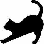 みゃあさんのプロフィール画像