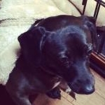 あやたろさんのプロフィール画像